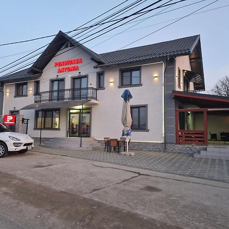 Pensiunea Antonia Sighetu Marmaţiei Buitenkant foto