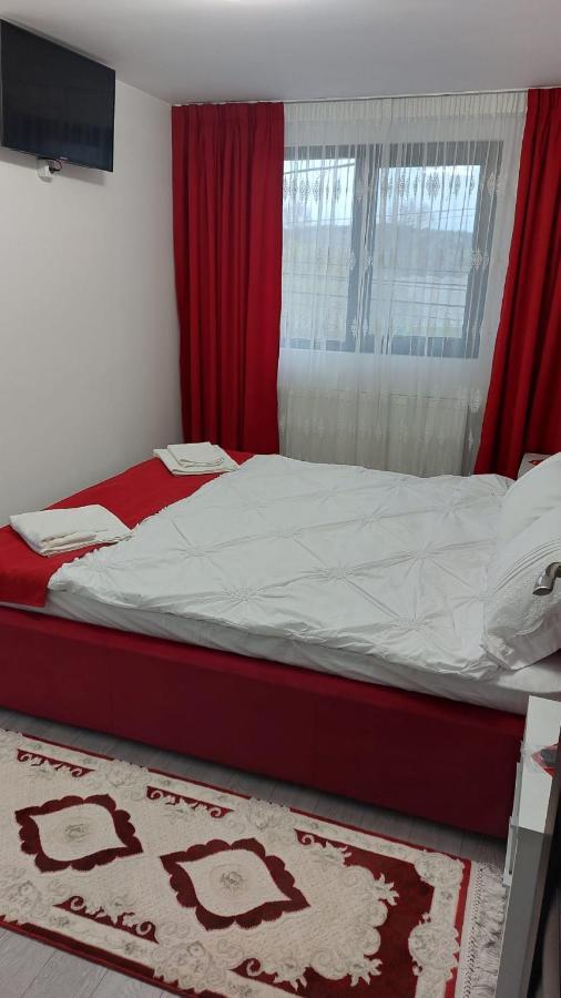 Pensiunea Antonia Sighetu Marmaţiei Buitenkant foto
