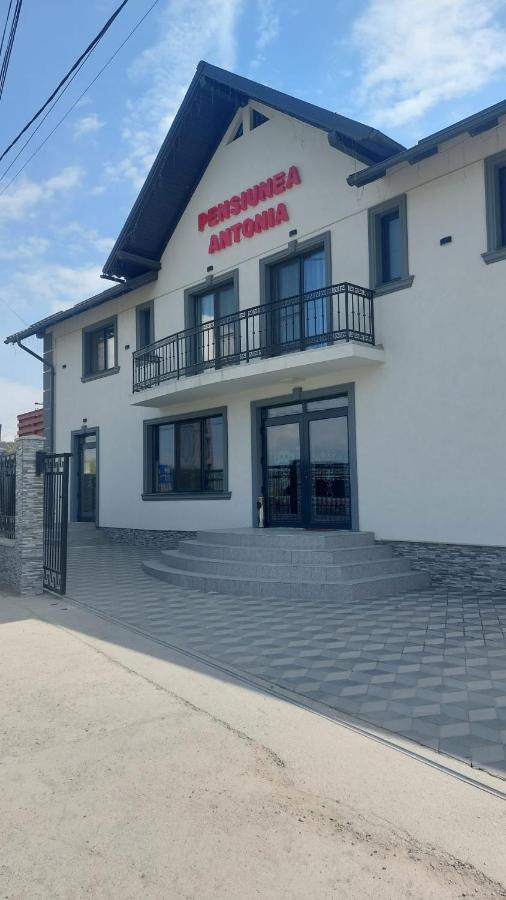 Pensiunea Antonia Sighetu Marmaţiei Buitenkant foto