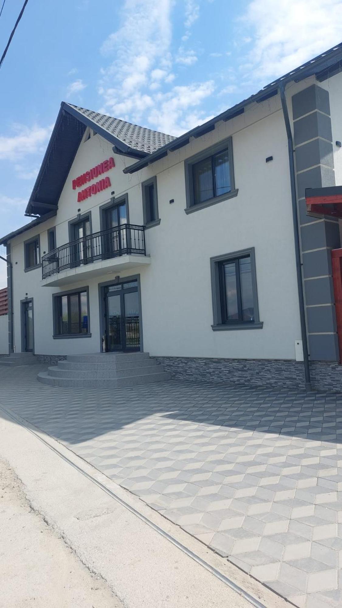 Pensiunea Antonia Sighetu Marmaţiei Buitenkant foto