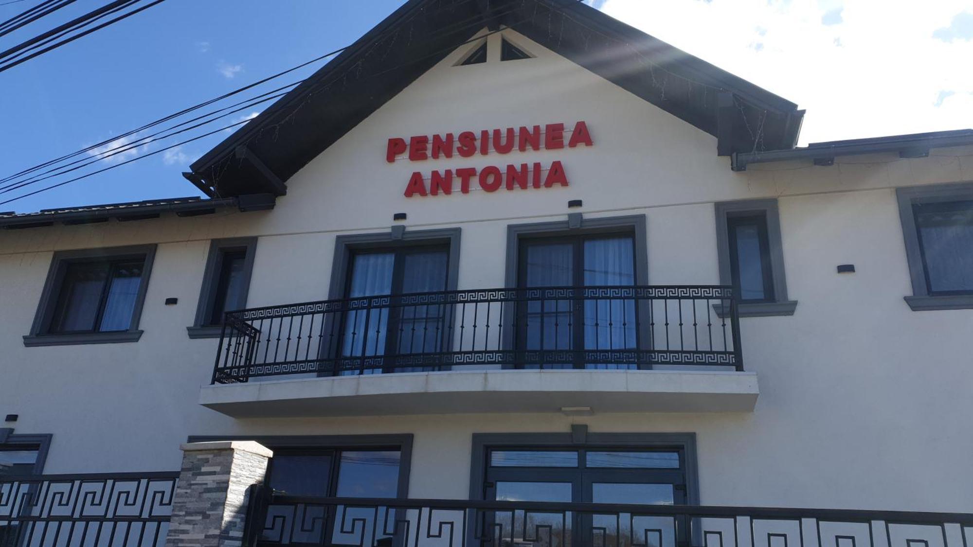 Pensiunea Antonia Sighetu Marmaţiei Buitenkant foto