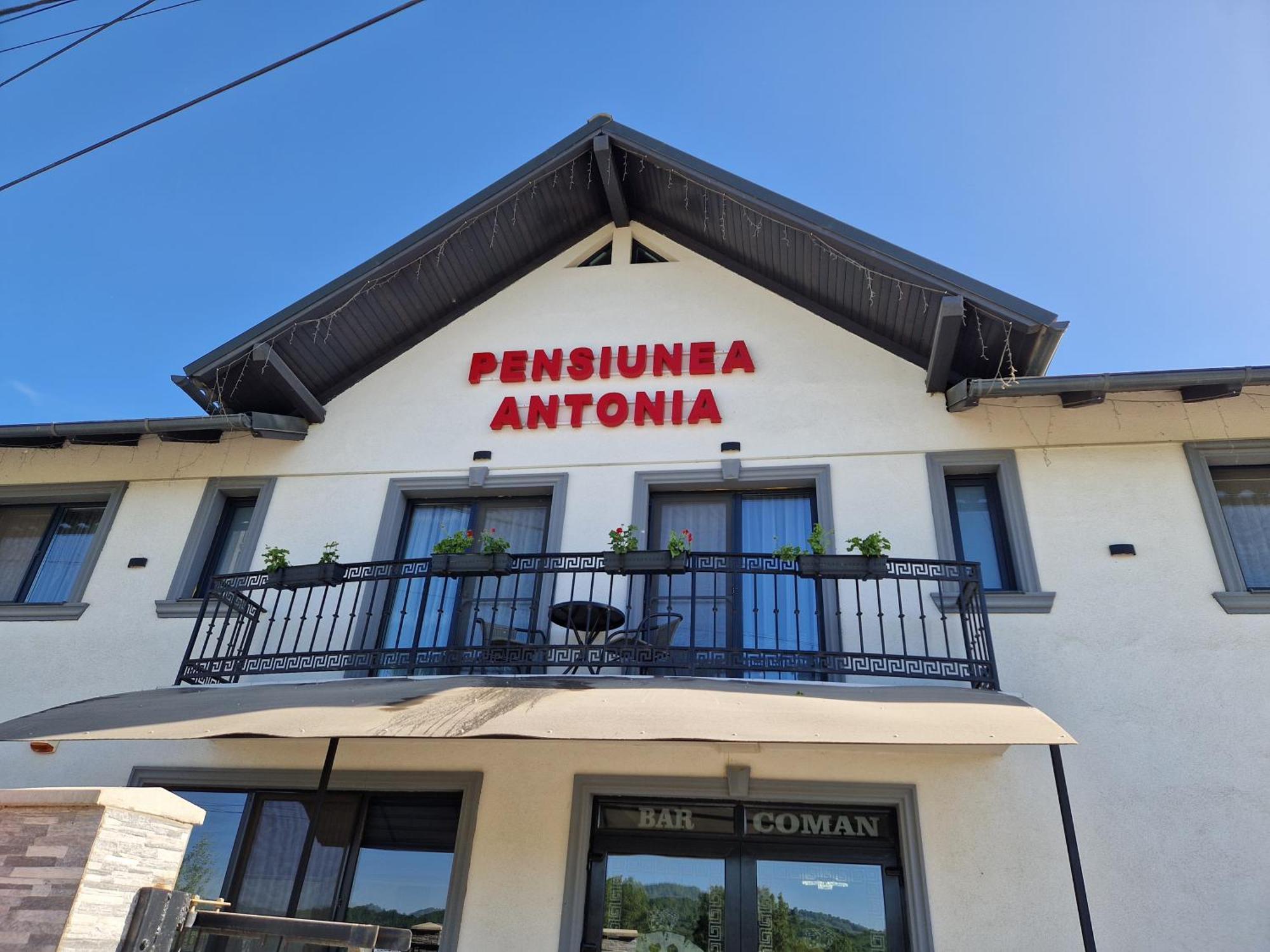 Pensiunea Antonia Sighetu Marmaţiei Kamer foto