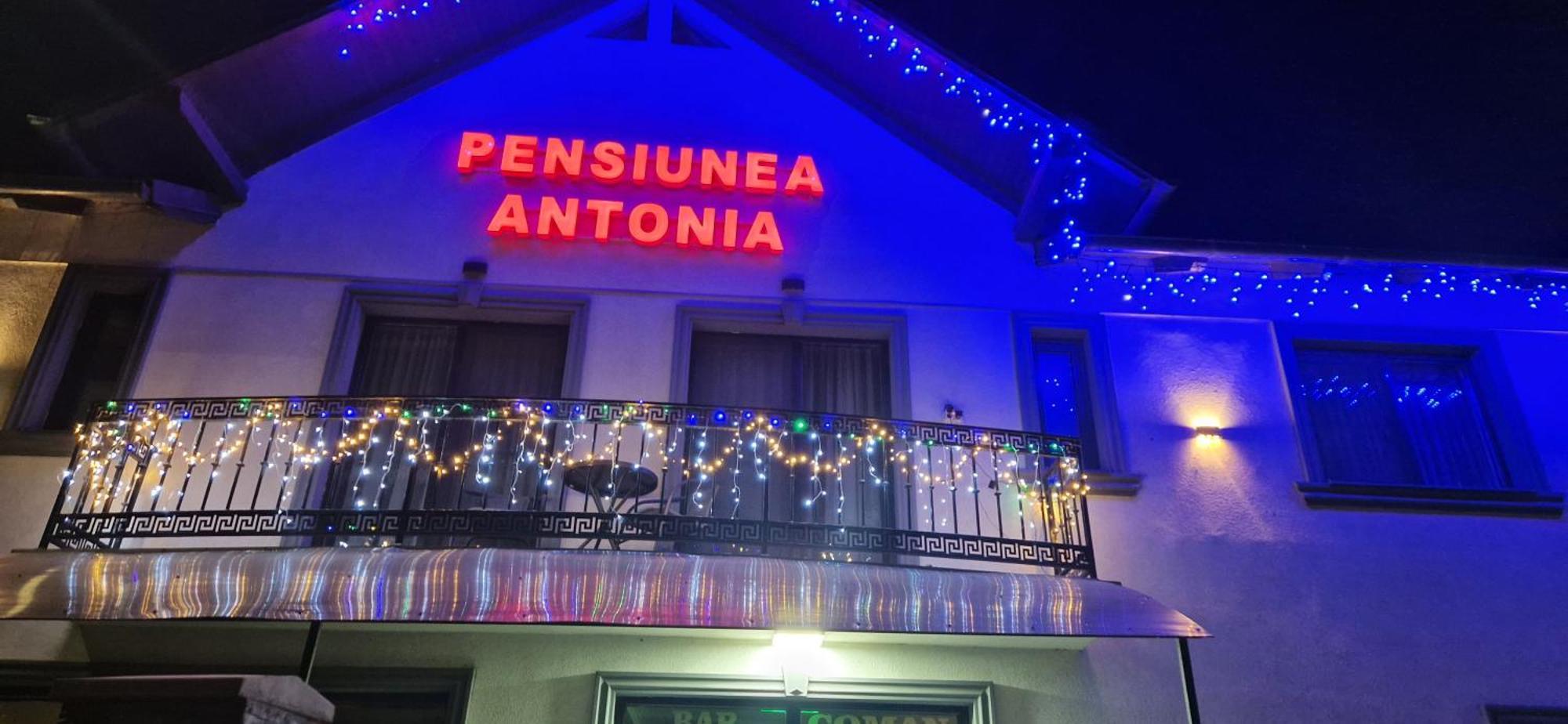 Pensiunea Antonia Sighetu Marmaţiei Buitenkant foto
